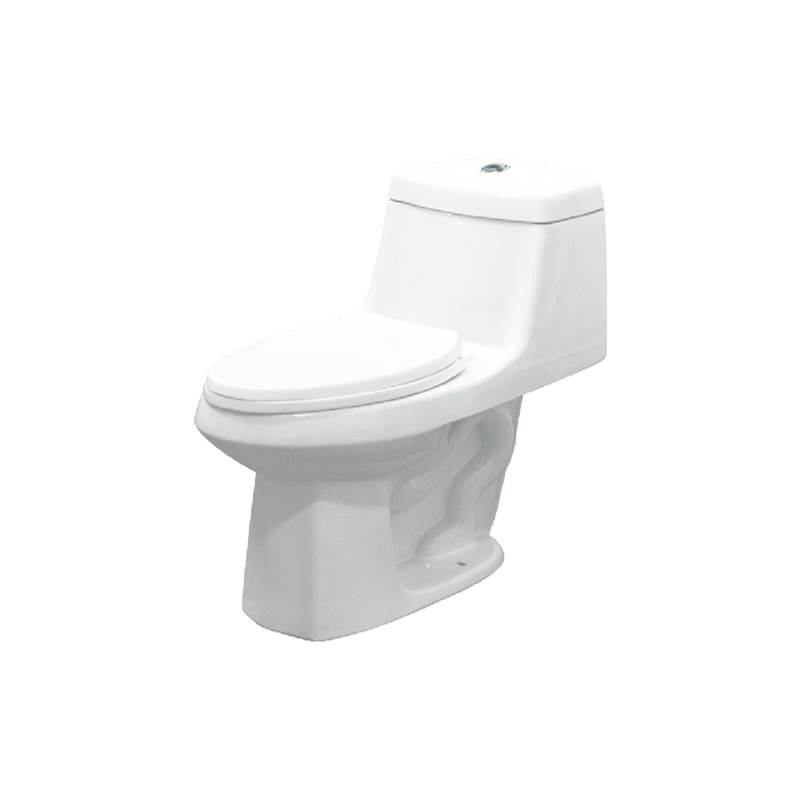 Transolid Jackson 1-Piece Elongated Vitreous China Dual Flush 1.6/1.0 gpf Toilet with toilet seat