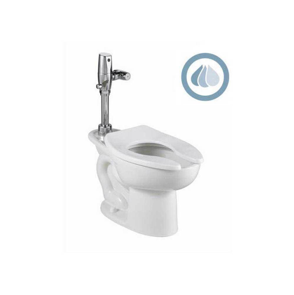American Standard Madera™ 1.1 - 1.6 gpf (4.2 - 6.0 Lpf) 15'' Height Back Spud Elongated EverClean® Bowl With Bedpan Lugs