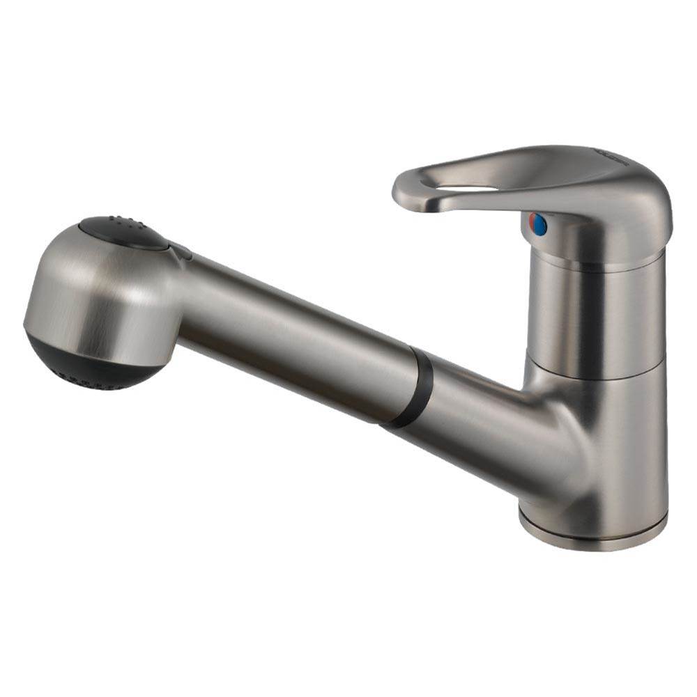 Hamat Dual Function Pull Out Kitchen Faucet in Brushed Nickel