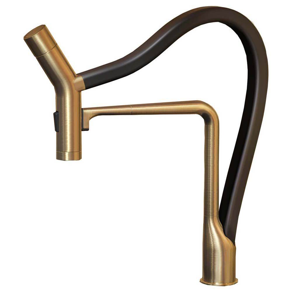 Hamat Dual Function Hand Held Pull Off Kitchen Faucet in Brushed Brass with Black Hose