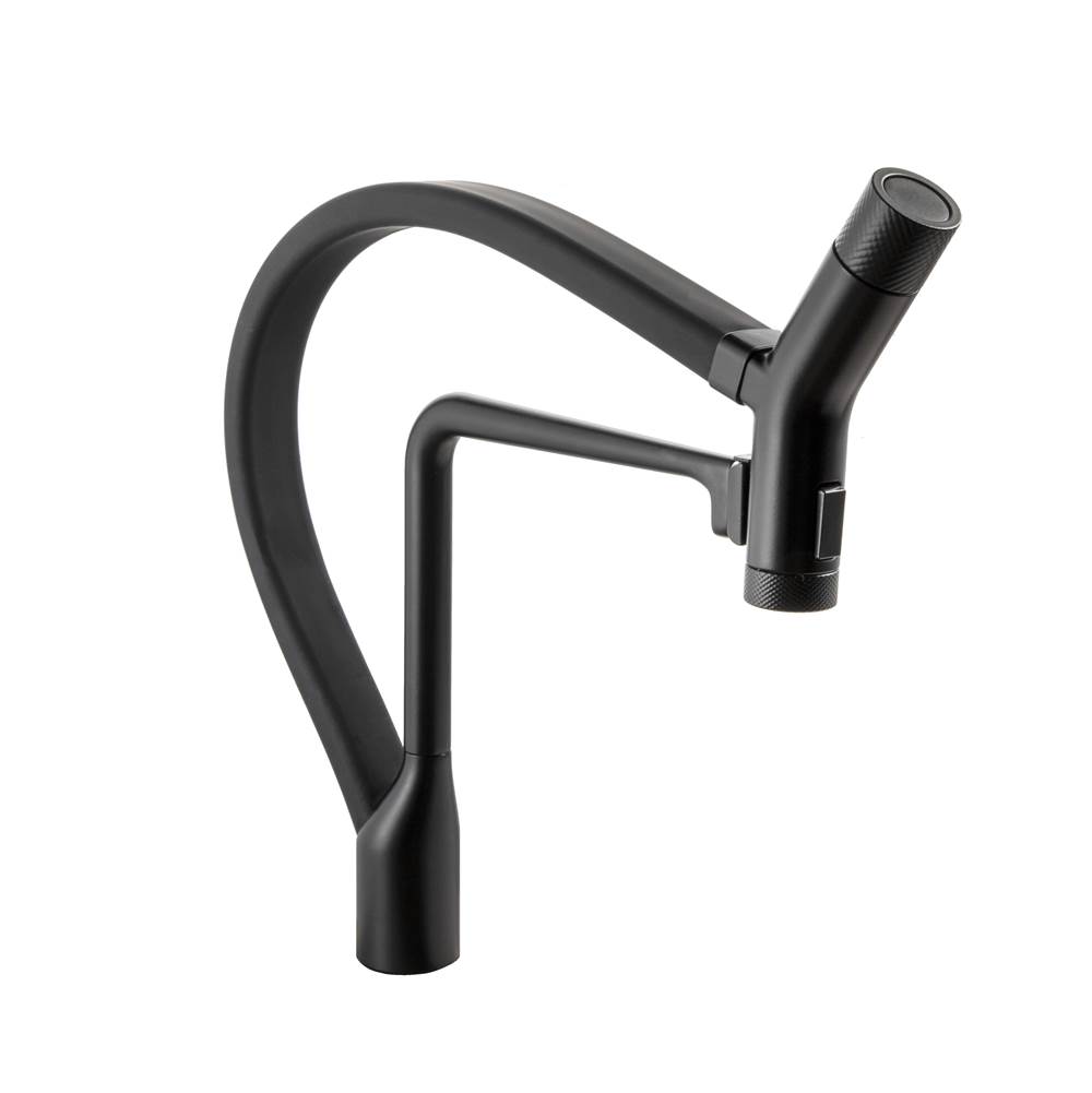 Hamat Dual Function Hand Held Pull Off Kitchen Faucet in Matte Black with Black Hose