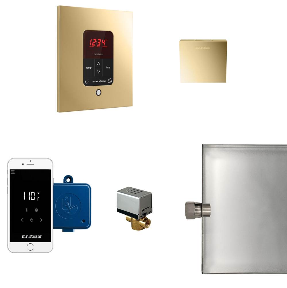 Mr. Steam Butler Steam Shower Control Package with iTempoPlus Control and Aroma Designer SteamHead in Square Polished Brass